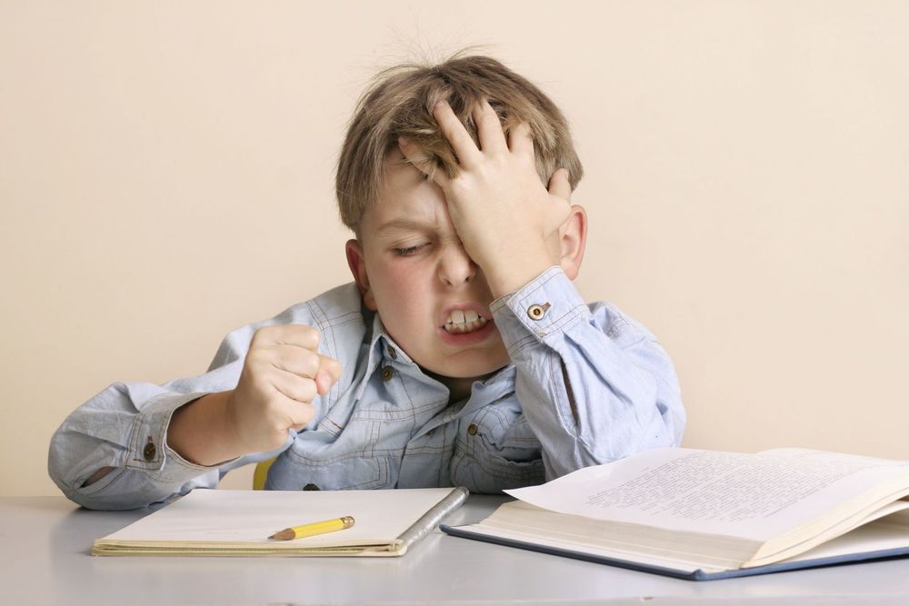 Excessive homework Excessive homework