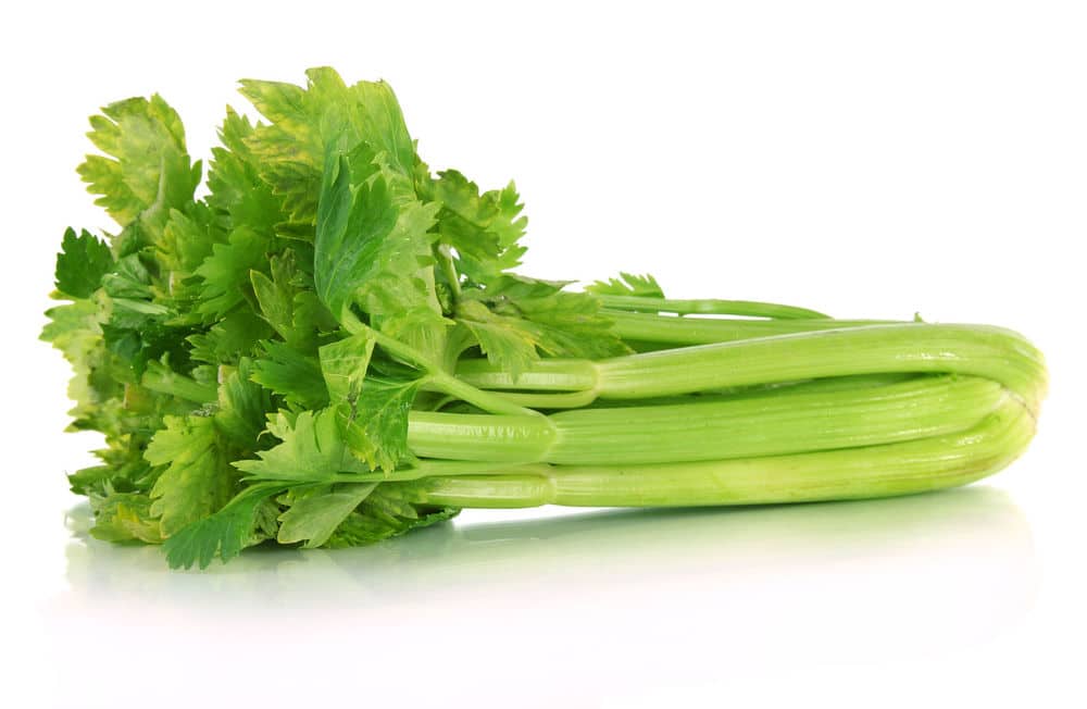 Celery