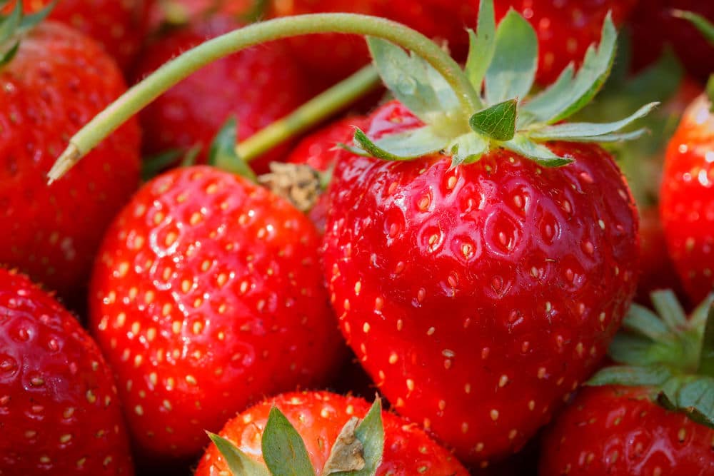 Strawberries Strawberries