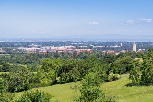 View of the City