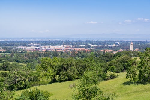 View of the City